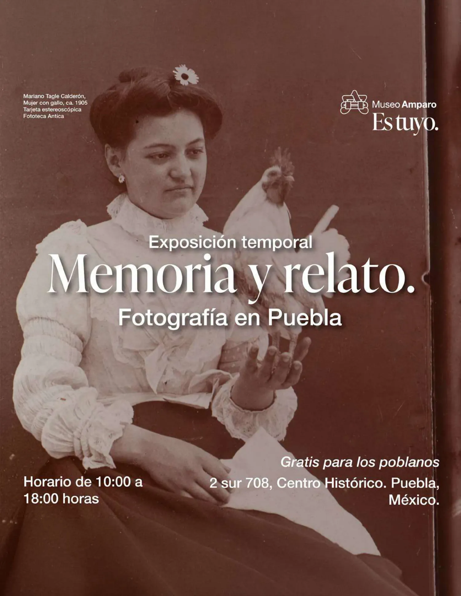 Página 33 de 78
